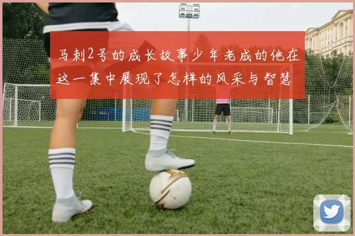 马刺2号的成长故事少年老成的他在这一集中展现了怎样的风采与智慧