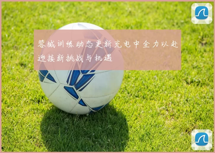 蓉城训练动态更新充电中全力以赴迎接新挑战与机遇